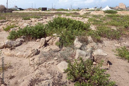 A gravestone  in an abandoned Templar cemetery near the Chateau fortress in the city of Atlit in northern Israel photo