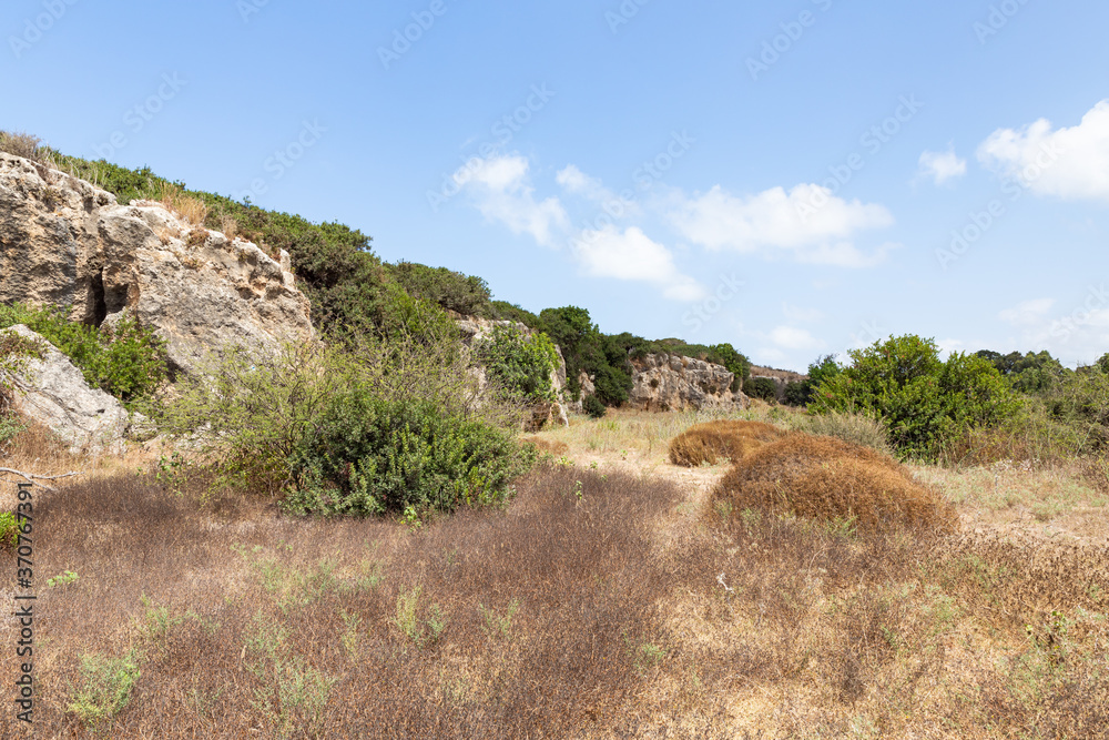The  vegetated stone walls of the old Phoenician fortress, which later became the Roman city of Karta, near the city of Atlit in northern Israel