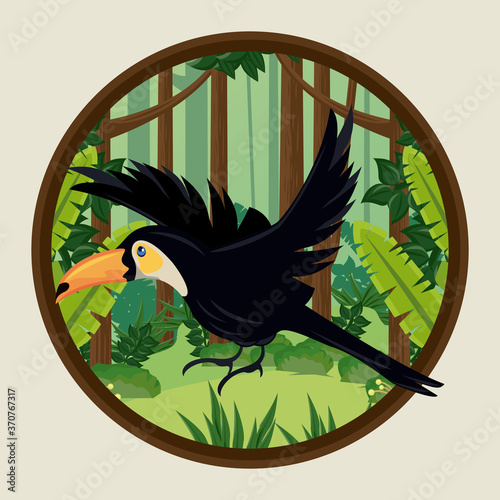 wild toucan bird flying in the jungle circular frame