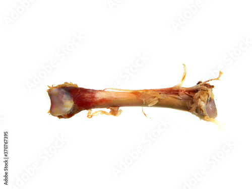 chicken bones isolated on white background