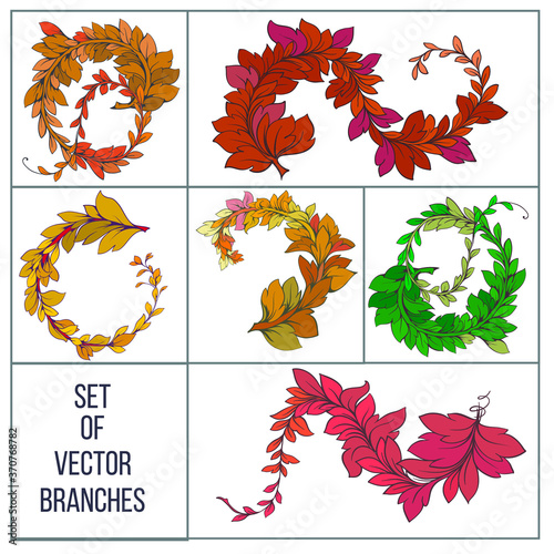 Set of vector branches. Vector branches with leaves. Beautiful leaves