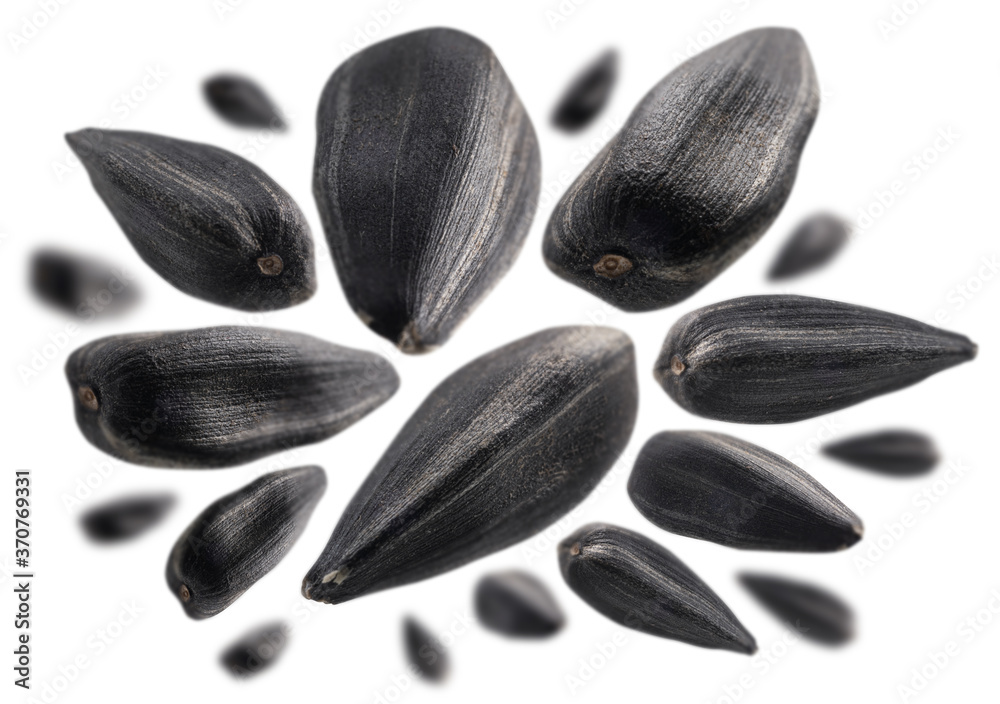 Sunflower seeds levitate on a white background Sunflower seeds levitate on a white background