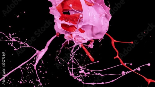 Splash of red and pink paint liquid in slow motion isolated on black (4K)