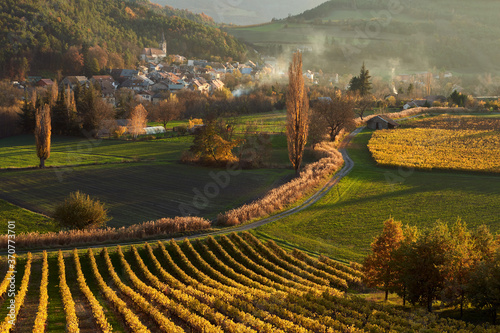 Vineyards and the village of Valserres in Autumn at sunset. Winery and grape vines in the Hautes-Alpes, Avance Valley photo