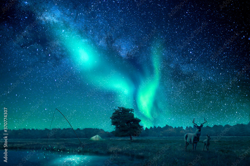 A fantasy landscape lit by northern lights/aurora borealis