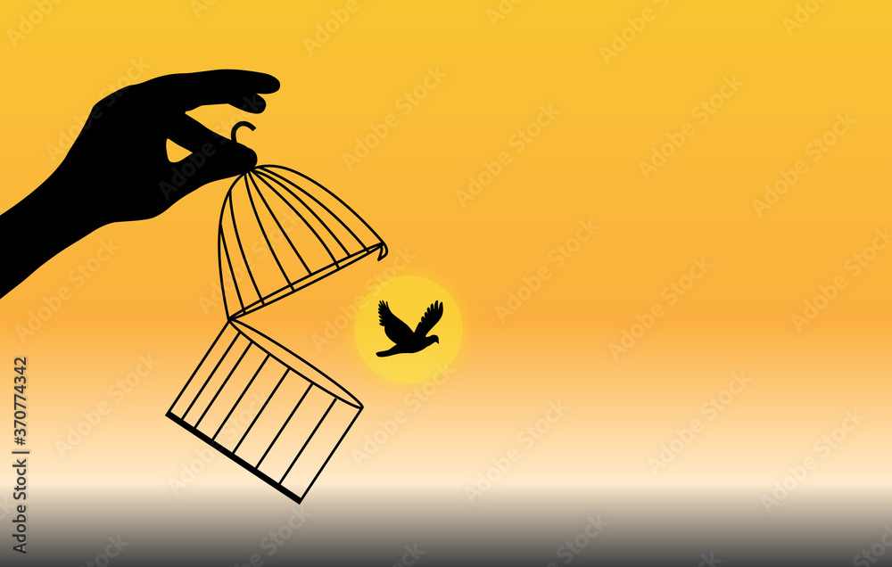 Bird Flying Out of Cage,Freedom Concept,freeing Bird from cage,bird In