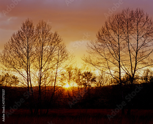 Sunset setting though silhoutted trees in The Great Smoky Mountains National Park in Tennessee in the United States