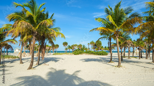 Beautiful Crandon Park Beach located in Key Biscayne in Miami photo