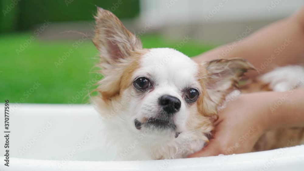 Slow motion Close up shot Hand's woman grooming, shower and bathing