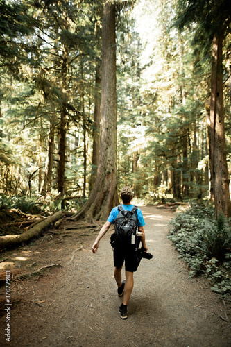 Walking in the Forest