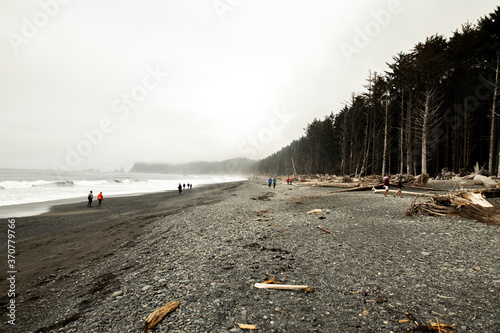 Foggy Beach