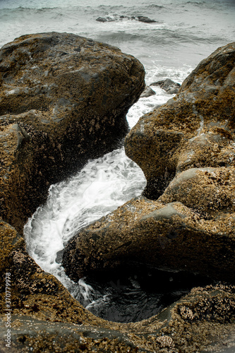 Tidal Wave