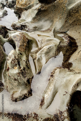 Tidal Cuts