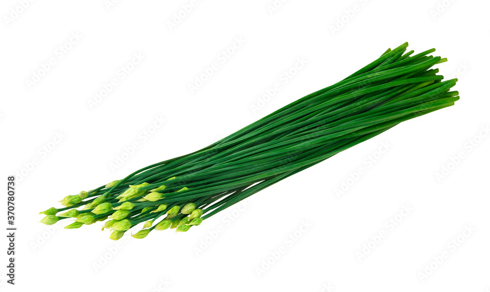 Bunch of Scallion Flowers ,Onion Flowers isolated on white background Bunch of Scallion Flowers ,Onion Flowers isolated on white background