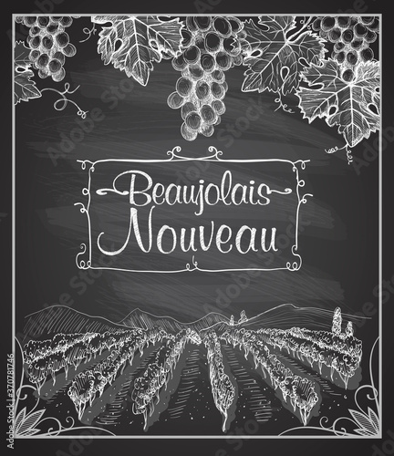 Beaujolais nouveau chalkboard with hand drawn vineyard