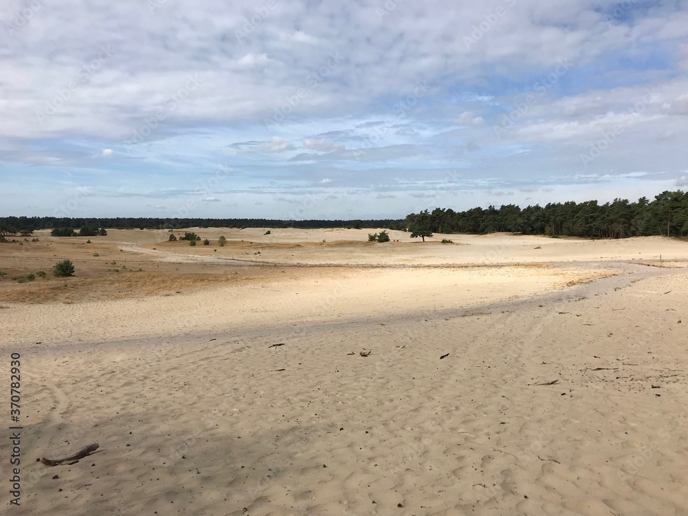 sand dunes sand dunes