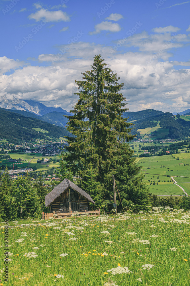 Fototapeta premium Little wooden lodge in mountain region in Altenmarkt im Pongau