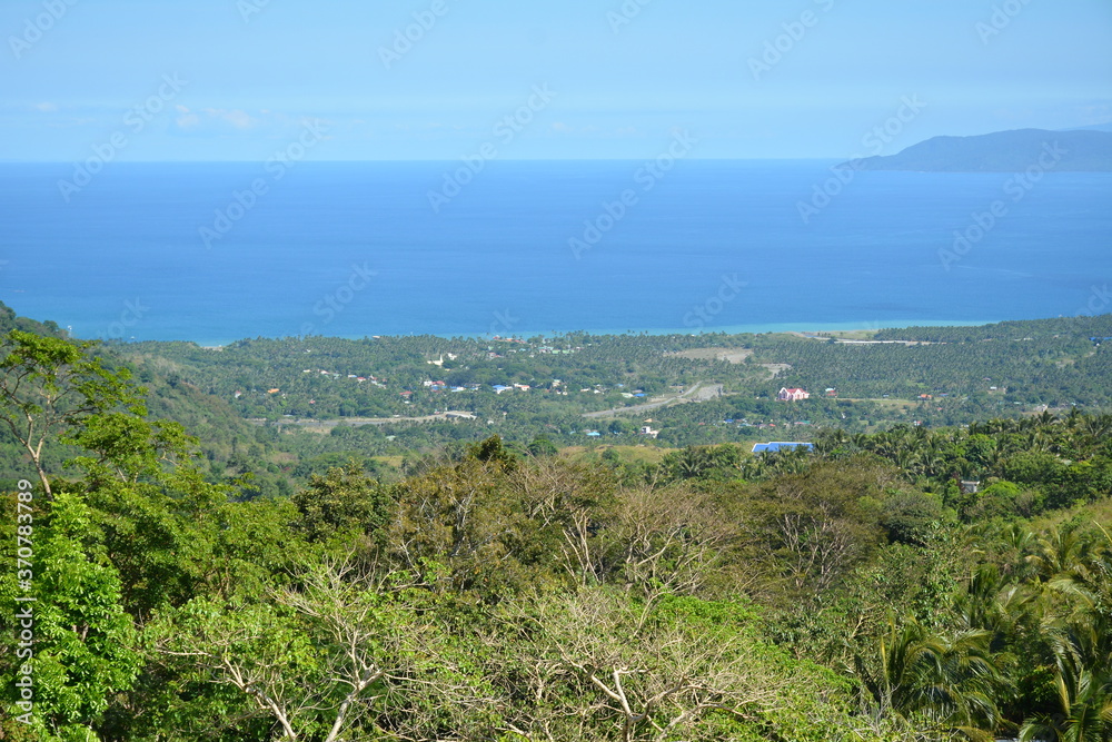 Mountain and trees scenic view during daytime Mountain and trees scenic view during daytime