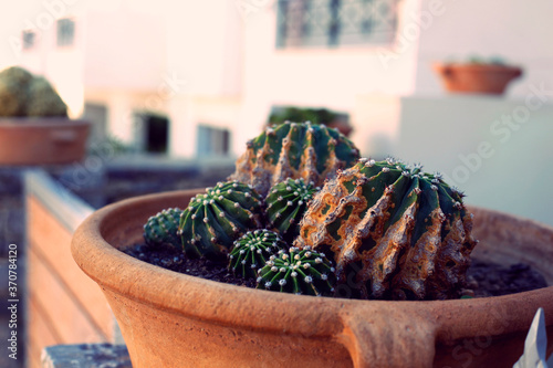 Fototapeta Naklejka Na Ścianę i Meble -  Aegean coast, Crete, Greece