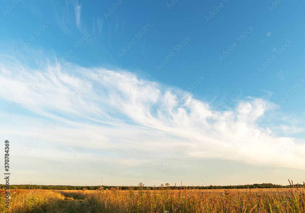 Fototapeta premium Blue skyline. White clouds. Nature.