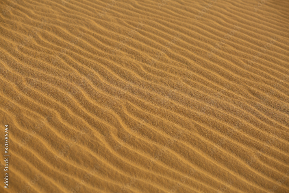 Closeup texture of desert sand dunes on sunset in Oleshky sands, Ukraine Closeup texture of desert sand dunes on sunset in Oleshky sands, Ukraine