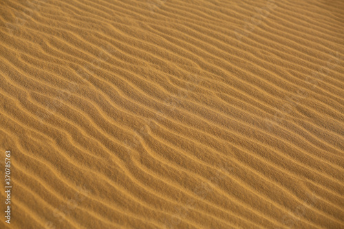 Closeup texture of desert sand dunes on sunset in Oleshky sands, Ukraine