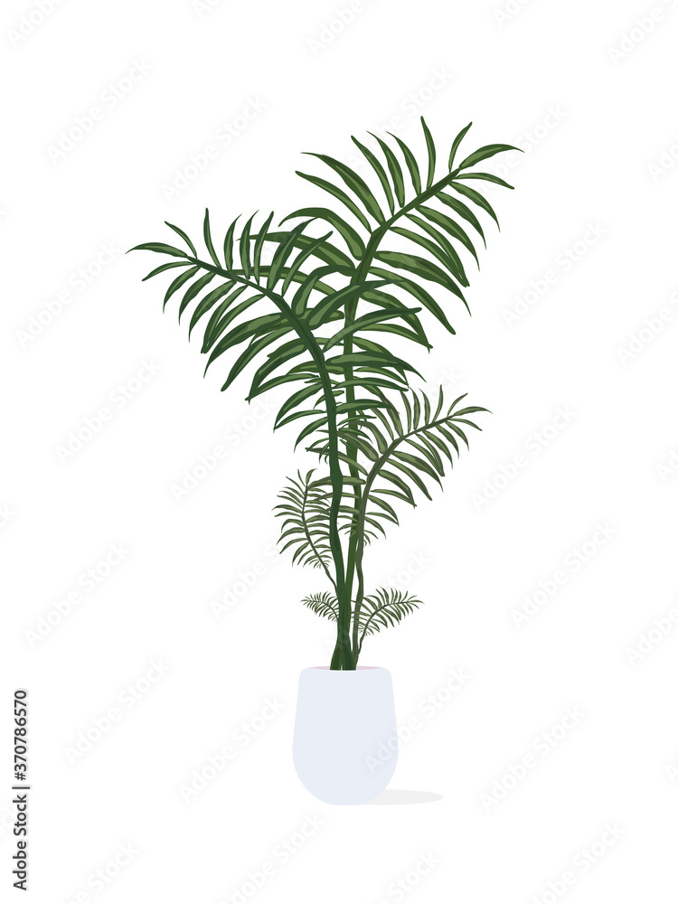 A large houseplant in a white pot. Isolated. Vector. A large houseplant in a white pot. Isolated. Vector.