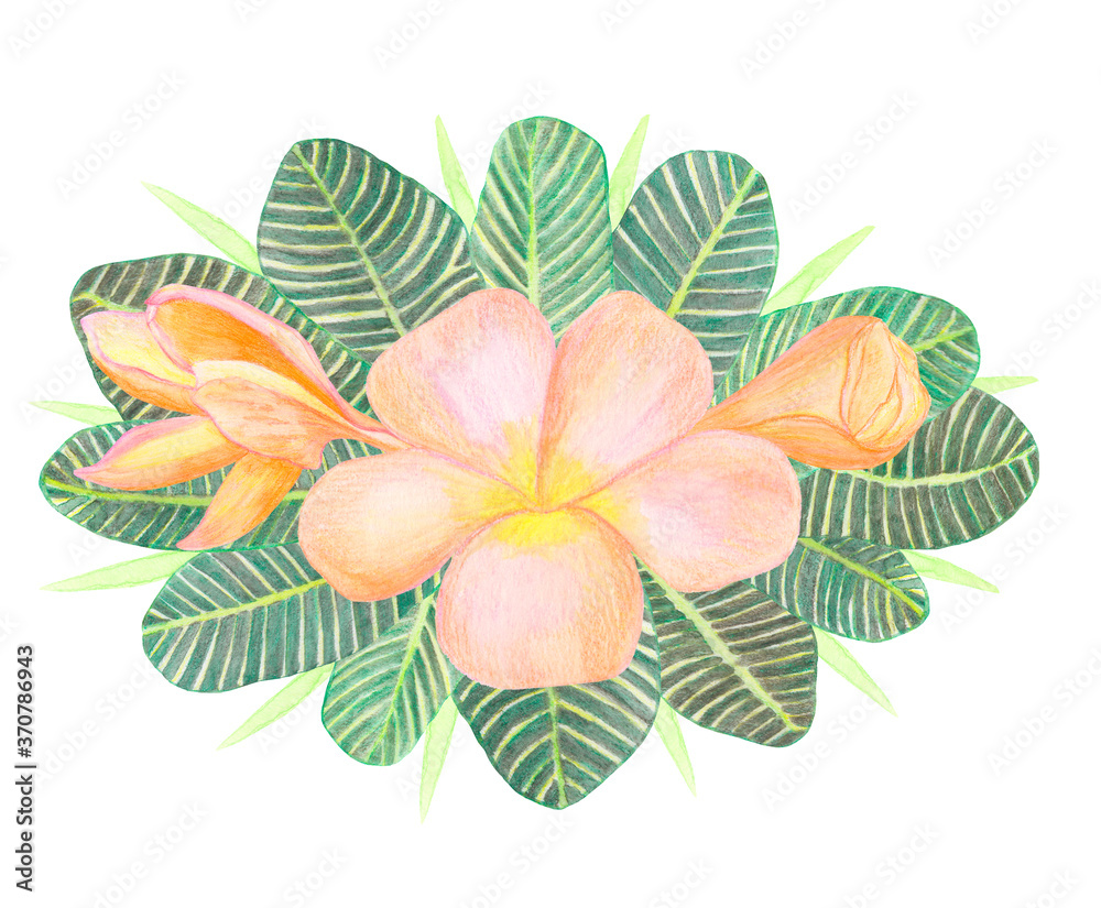 Watercolor orange Plumeria flower and green tropical palm leaves composition