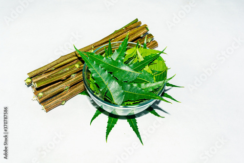 Fresh green neem leaves or azadirachta indica leaves in a glass bowl with neem twigs on white isolated background.