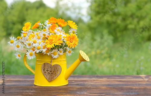 Fototapeta Naklejka Na Ścianę i Meble -  summer flowers bouquet in yellow watering can. rustic garden still life. summer blossom season. copy space