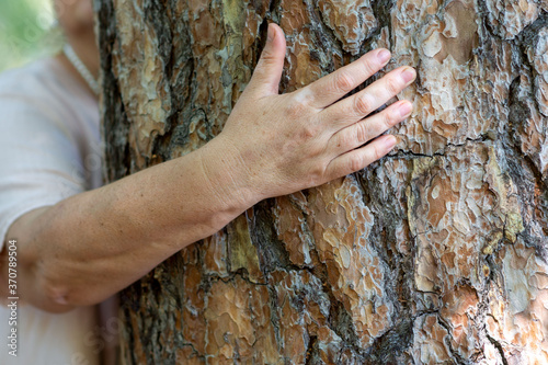 an elderly woman embraces a tree trunk, the concept of connecting with nature. Breath of Fresh Air