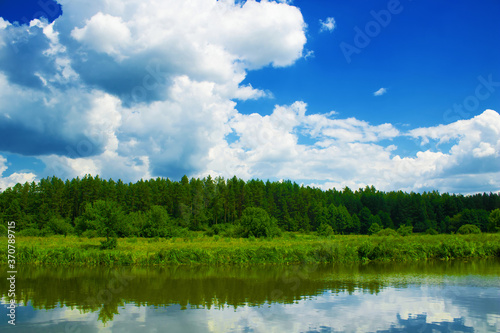 Beautiful view of the forest by the river in summer. Reflection in the water © Gelia