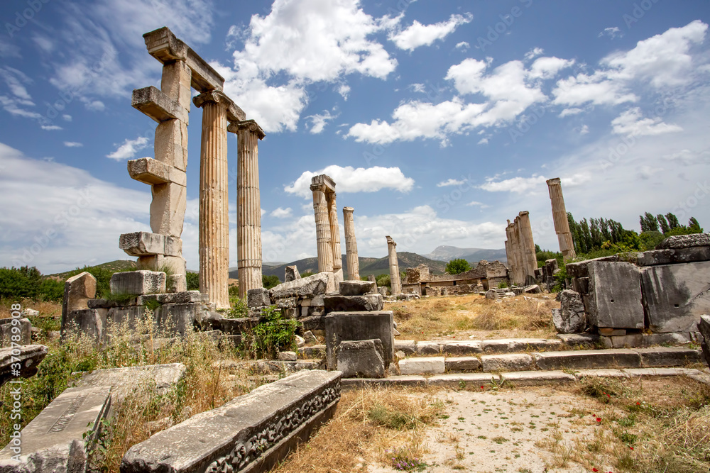 Afrodisias Ancient city. (Aphrodisias). The common name of many ancient cities dedicated to the goddess Aphrodite. The most famous of cities called Aphrodisias. Karacasu - Aydın, TURKEY