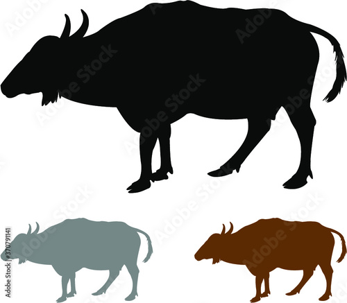 wild cow vector