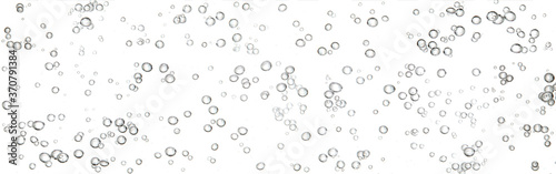 Fototapeta Naklejka Na Ścianę i Meble -  Black bubbles in a clear liquid under water flowing up to the surface, isolated on a white background.