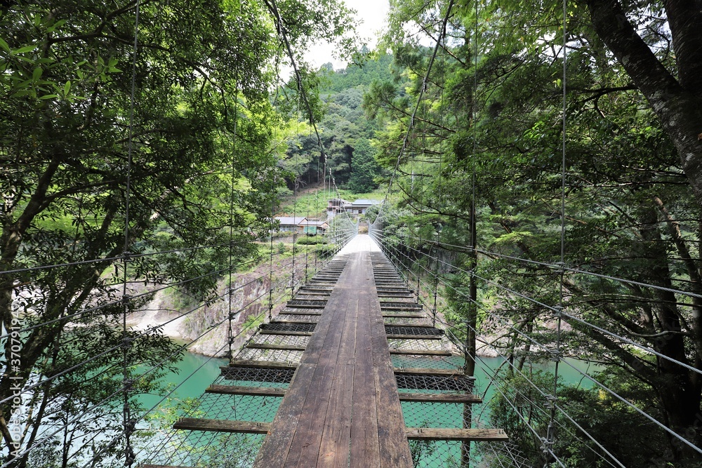 Obraz premium 吉野熊野国立公園 瀞峡