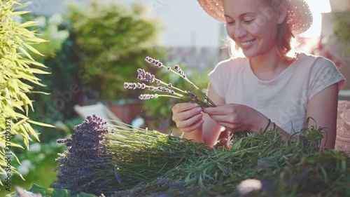 Woman Making Lavender Bouquet. SLOW MOTION. Female florist hands creating decoration with purpule lavender flowers. Girl enjoying peaceful evening in Provence French garden.   photo