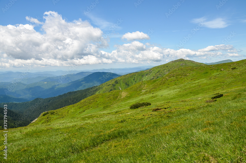Green grassy hillsides of the Chornohora ridge under a blue cloudy sky. Summer landscape of the Carpathian mountains.