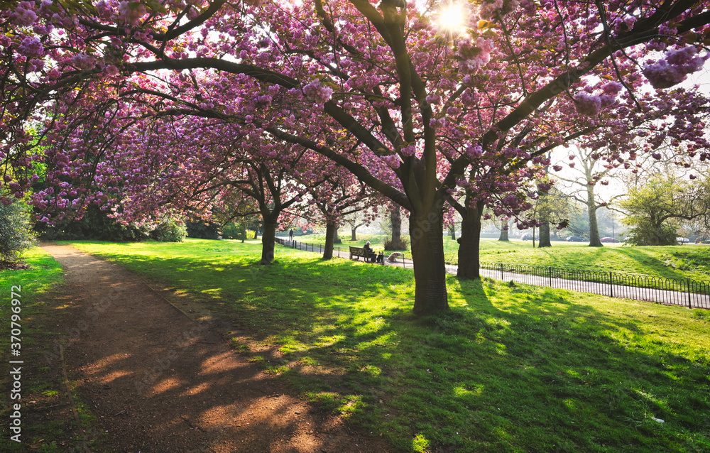 Spring in Hyde Park located in Central London, UK.