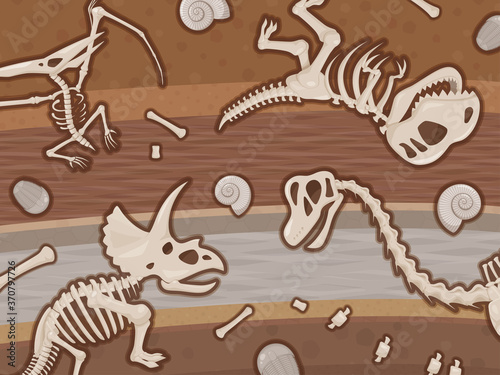恐竜の化石が埋まった地層のイラスト