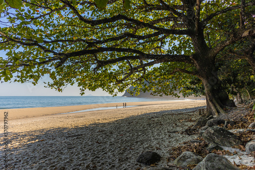 Paisagem da praia de Toque-toque, São Sebastião, Estado de São Paulo, Sombra de uma árvore nas areias da praia com algumas pedras em baixo e o mar á esquerda com sol forte.  photo