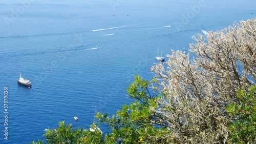 Capri Island, Italy, view of the boats in Tyrrhenian sea throughthe trees photo