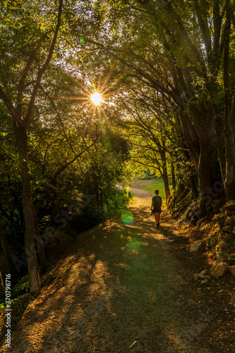 Fototapeta Naklejka Na Ścianę i Meble -  Treekking at dawn leaving Girona with a hiker on the way.