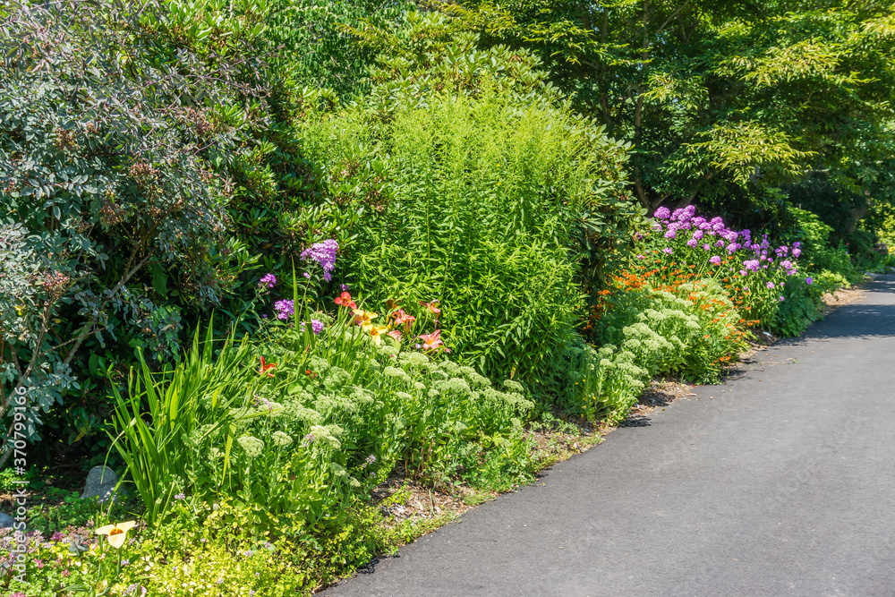 Flower Garden Walkway
