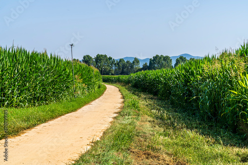 Corn fields near Llagostera being watered.