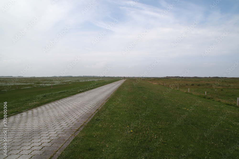 Obraz premium Ein Radweg auf Langeoog