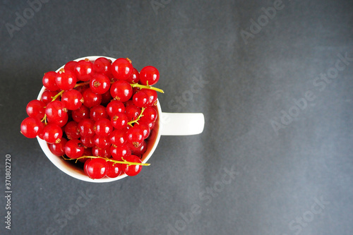 red currant berries in a white circle on a dark background top view