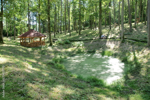 Park - Leśne Arboretum w Kudypach