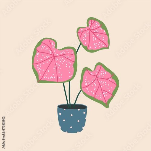 Caladium in ceramic flowerpot. Houseplant isolated. Trendy hugge style, urban decor. Hand drawn sketch, naive art. Print, poster, banner, wallpaper. Logo, label. Green, pink, blue, beige pastel colors
