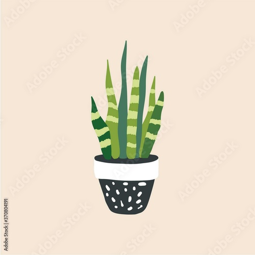 Snake plant in ceramic flowerpot. Houseplant isolated. Trendy hugge style, urban jungle decor. Hand drawn sketch, naive art. Print, poster, banner, wallpaper. Logo, label. Green, white, black colors.